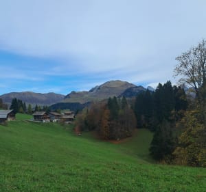 La Tannaz et le Grand-Bornand - Le Grand-Bornand - 2