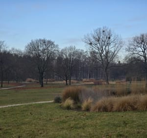 Pętla od Starej Rzeźni na Cytadelę trasą Parkrun Cytadela - Poznań - 2