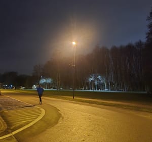 Katowice - Dolina Trzech Stawów - leśne ścieżki i deptaki - Katowice - 2