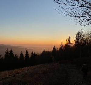 Wokół źródła Olzy - Istebna - 2