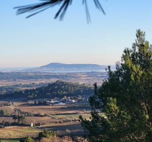 La garrigue autour de Saint Pargoire - Saint-Pargoire - 2