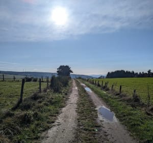 Balade sur les hauteurs de Pradelles par l'Hermitage - kevin - 2
