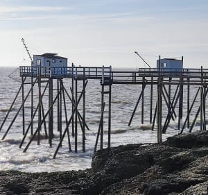 Chemin des douaniers à Saint-Palais-sur-Mer - Denis - 3