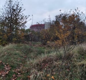Dzielnica Ogrody w Kaliszu - Kalisz - 2