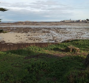Rando de Perharidy à Roscoff - Roscoff - 3