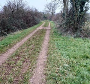Circuit VTT mixte chemin/route à Vaumoreau - Vouillé - 2