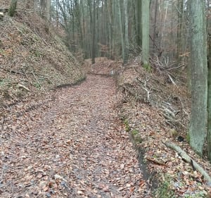 Odpocznij od fotela trasa - Kwidzyn - 2