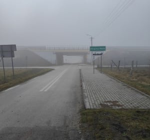 Pabianickie lasy i wioski cześć zachodnia - Daniel - 3