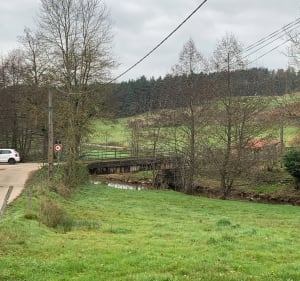 St-Romain-Lachalm - Emma - 3