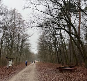 Malownicza trasa przez przedmieścia Warszawy - Warszawa - 2
