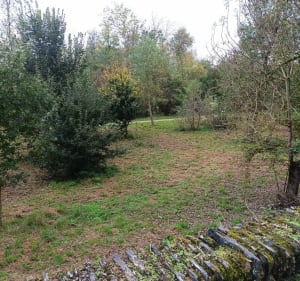 Parc de Balzac et jardins familiaux - Angers - 2