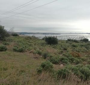 Balade à Loupian - Loupian - 2