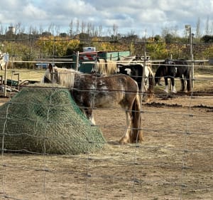 Balade autour de Rivesaltes et l'Agly - Myriam - 3