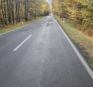 Zernica - bojszowy - Żernica - 2