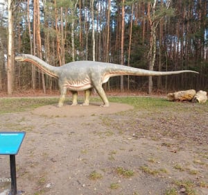 Park im. Jacka Kuronia w Sosnowcu - Ewelina - 3