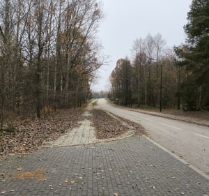 Krótki spacer po obrzeżach Puszczy - Michał - 2