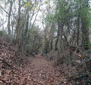Boucle à Saulgond - Saulgond - 2
