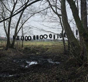 Z Krajkowa wzdłuż Warty na południe - Krajkowo - 2