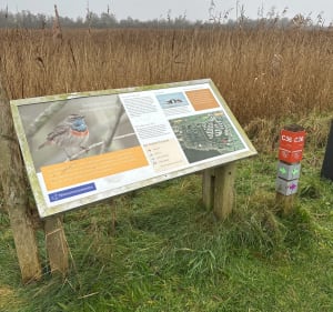 Geweldige kleine wandeling naar Beulakerwijde - FREDERIQUE - 2
