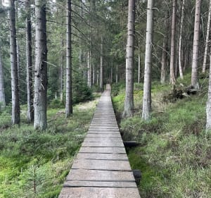 Szpindlerowy Młyn - Petrowa Bouda - Špindlerův Mlýn - 2