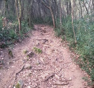 Sentier botanique de Valbonne - Solange - 3