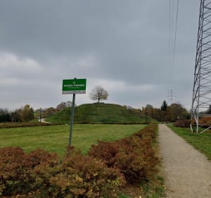 Bałuckie parki i Ocalalych - Olgierd - 2