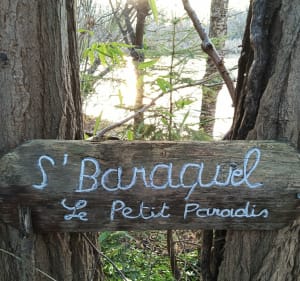 La Wantzenau parcours forestier - MARTIN - 3