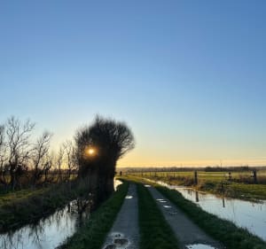 Balade dans les marais de Saint-Martin-de-Varreville - Monique - 3