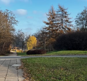 Manufaktura i łódzkie parki - Łódź - 2