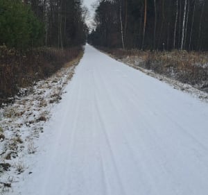 Wymysłów-Osy - Aleksandra - 2
