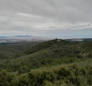 Autour de la grande étoile : le ravin de la Baume - Marseille - 2