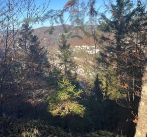 Vue du Bechet et Morez - Hauts-de-Bienne - 2