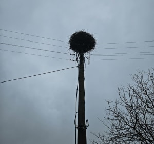 Pomosty nad jeziorem w Nądnii - Karol - 3