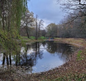Rundka po Lesie przy ul. Kosmonautów - Wrocław - 4