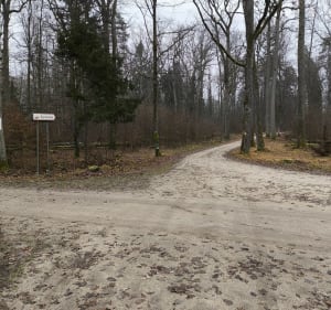 Spacer na Krynoczkę leśnymi ścieżkami - Michał - 2