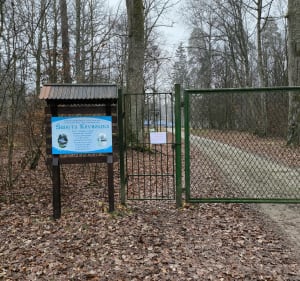 Spacer na Krynoczkę leśnymi ścieżkami - Hajnówka - 2