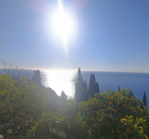 Tour du Cap Martin - Roquebrune-Cap-Martin - 2
