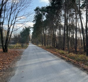 Rezerwat Jeleń - Maciej - 5