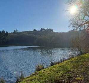 Lac du Pont à l'Age et l'Ardour - Laurière - 2