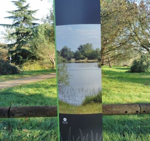 Parc des sablières à Écouflant - Écouflant - 3