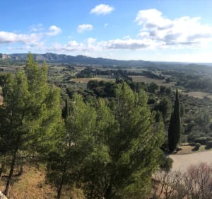Les Alpilles : de Maussane aux Baux de Provence - Maussane-les-Alpilles - 2