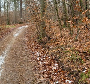 Z Matarni orzez TPN i Kleszą Drogę - Gdańsk - 2