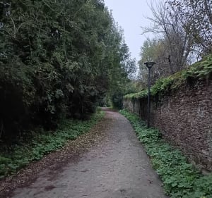 Les Hauts de Saint-Aubin le long de la Maine - Angers - 2
