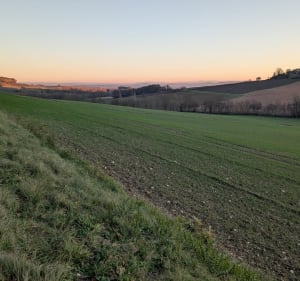 Randonnée dans les vignes et les châteaux de Broze - Broze - 2