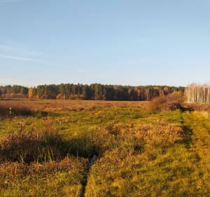 Park Historyczny Blizna i Koniki Polskie - Blizna - 2