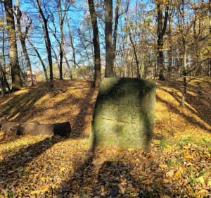 Spacer wzdłuż Bystrzycy do Parku Złotnickiego - Waldek - 3