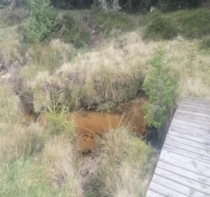 Petite boucle à la baraque des Bouviers - Saint-Denis-en-Margeride - 2