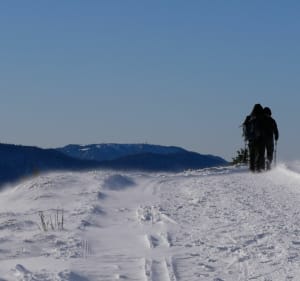 Du Markstein au Breifirst, plein vent ! - Ranspach - 2
