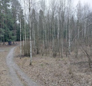 Trasa przyrodnicza, Las Antoniukowski - Białystok - 2