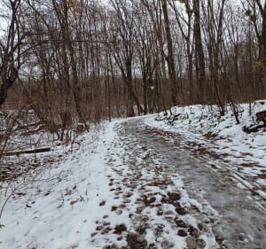 Pętla z księżej góry przez ogród botaniczny w Radzionkowie - Radzionków - 2